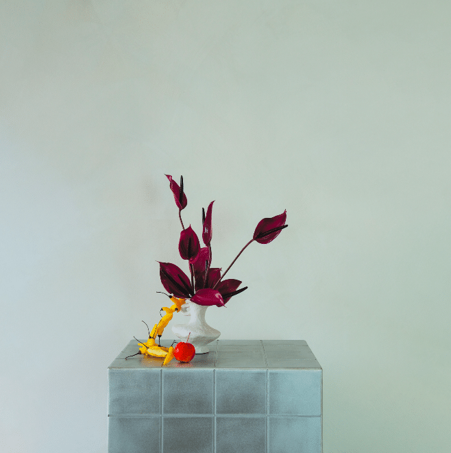 image-alt-2