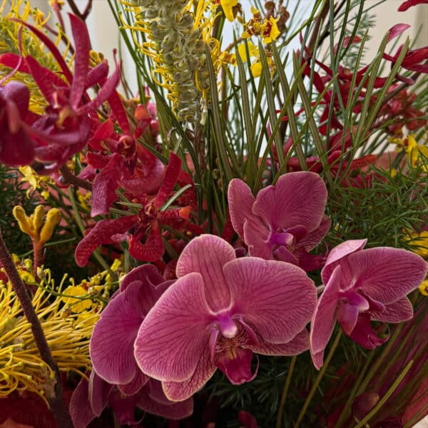 Mother's Day Collection - Image 8