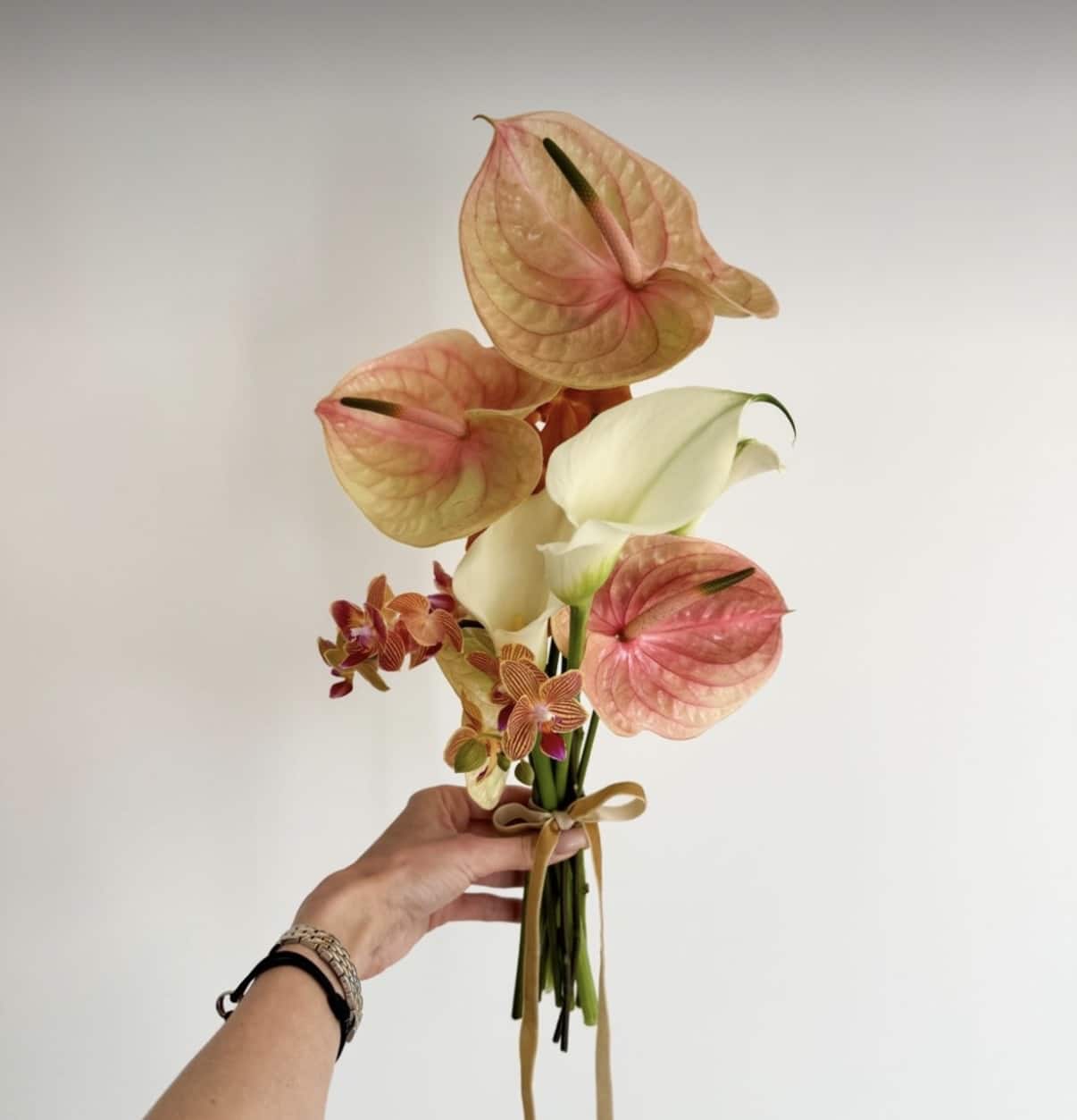 Amoureux de Soleil - Image 4