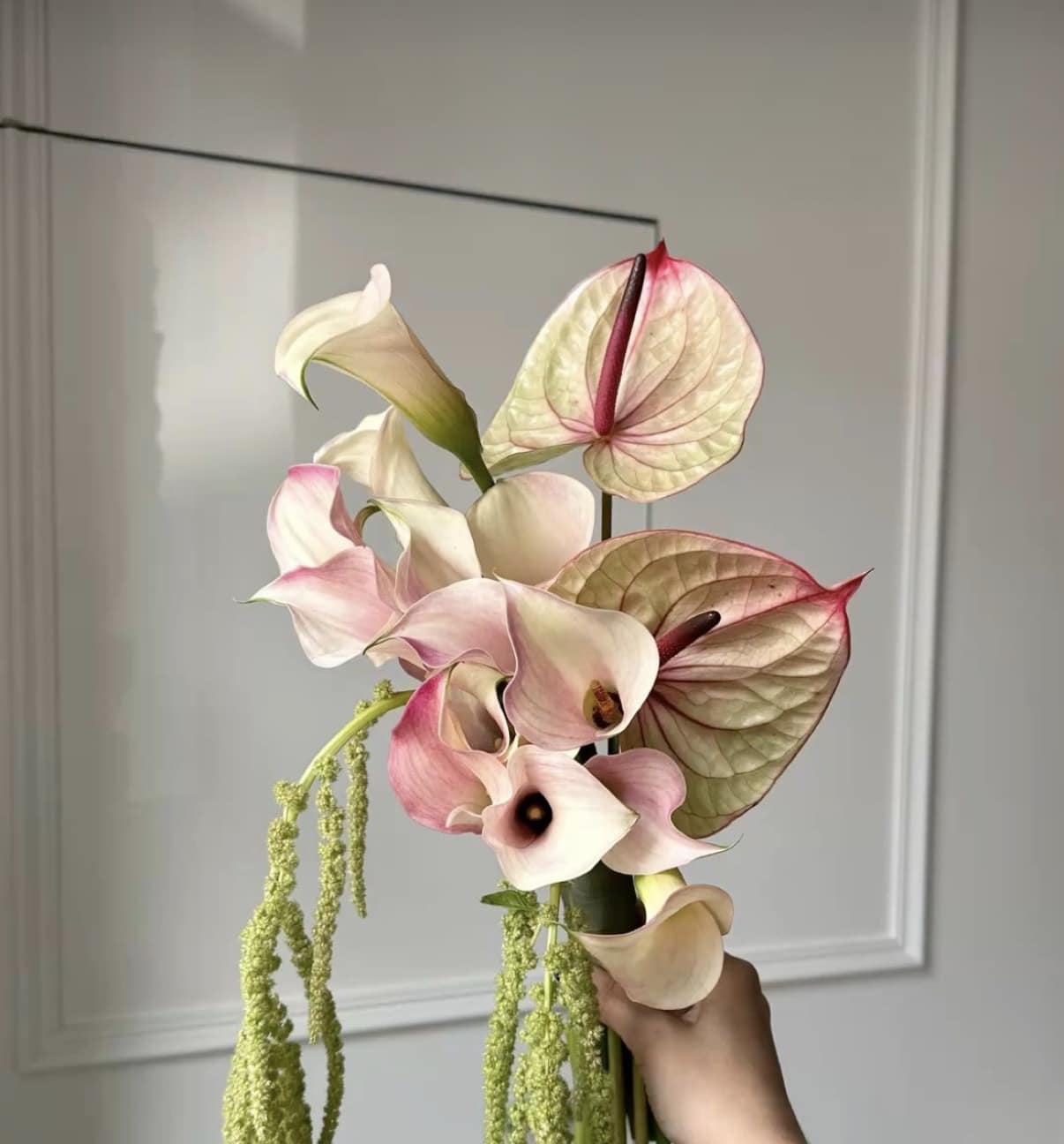 Amoureux de Soleil - Image 3